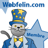 Webfelin
