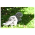 Highland Fold