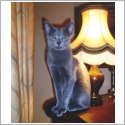 Bleu Russe