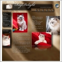 Ragdoll