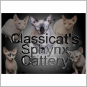 Sphynx